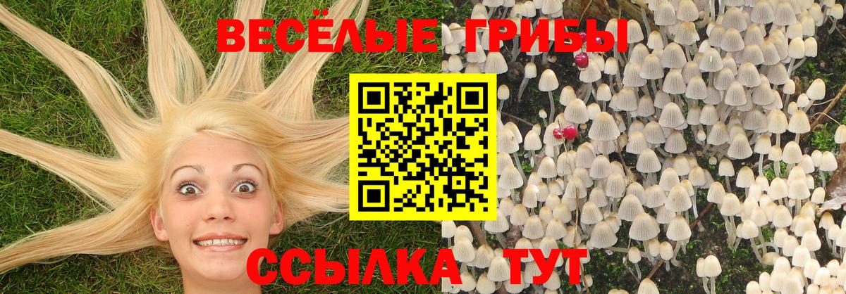 Галлюциногенные грибы ЛСД Электрогорск